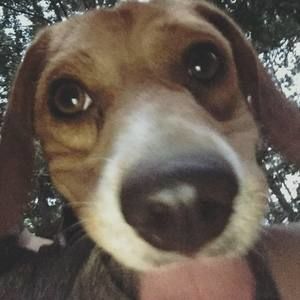 Meet your Posher, Jesse